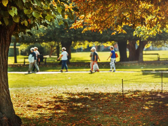 Billede af en park. 