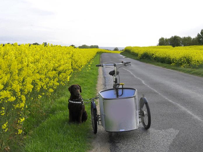Billede af en ladcykel ved landevejen.