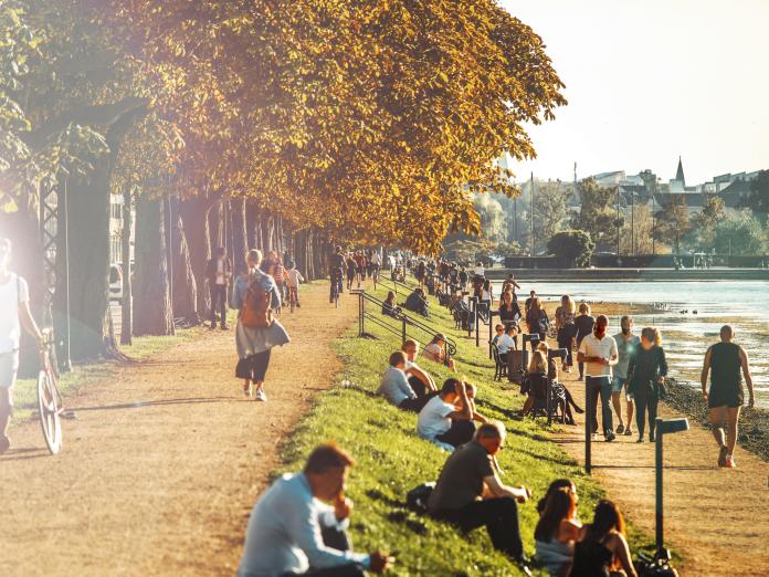 Et billede af grønt område ved søerne i København.